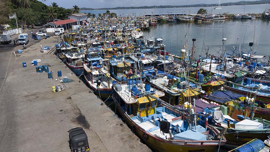 Explore Mirissa Harbor